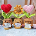 Crochet Plant Pot - Emotional Support Plant